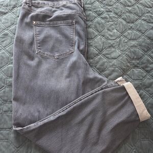 Maurices Blue High-Rise Denim